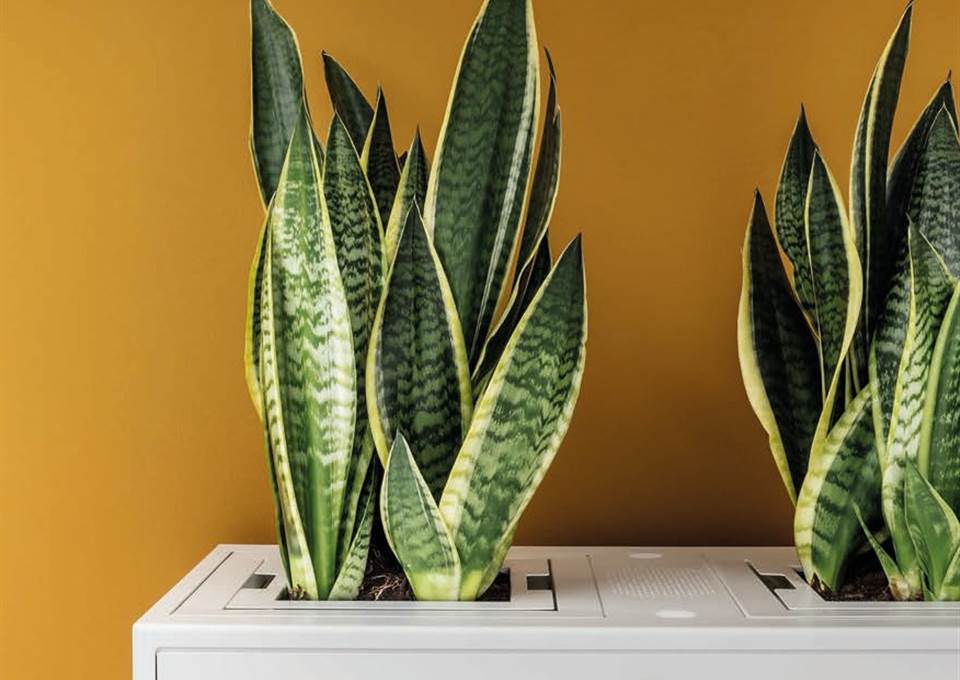 5 tips for a modern Eco-Friendly office